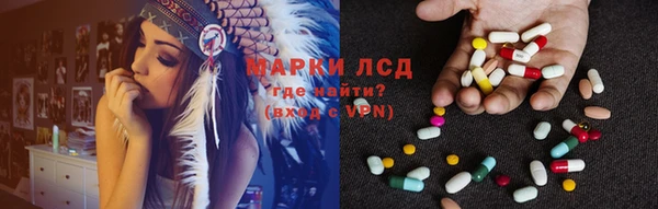 гидропоника Алзамай