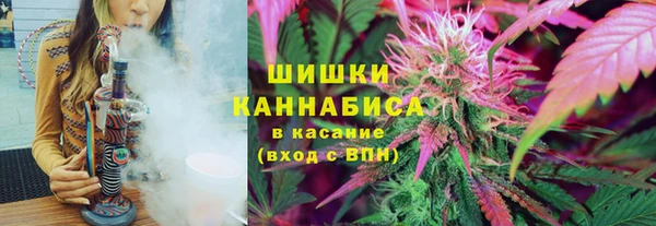 соль ск Алексин