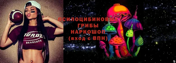 гидропоника Алзамай