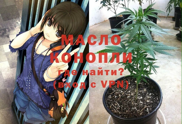 гидропоника Алзамай