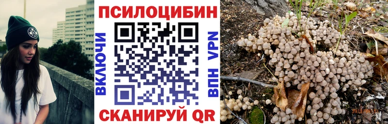 Галлюциногенные грибы Psilocybe  купить закладку  Ахтырский 